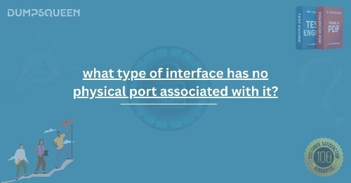 What Type of Interface Has No Physical Port Associated With It? | Explained