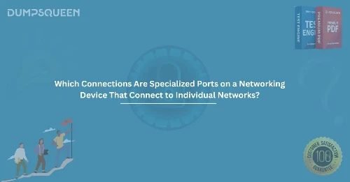 Which Connections Are Specialized Ports on a Networking Device That Connect to Individual Networks?