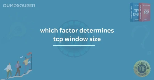 Exploring Which Factor Determines TCP Window Size for Efficient Networking
