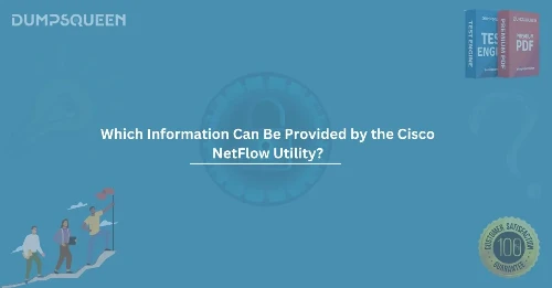 Which Information Can Be Provided by the Cisco NetFlow Utility? Explained for IT Pros