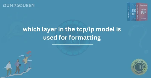 Which Layer in the TCP/IP Model is Used for Formatting?
