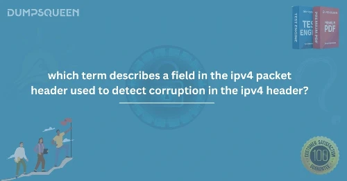 Which Term Describes the IPv4 Header Field for Detecting Corruption