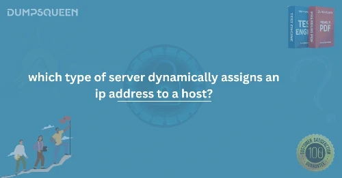 Which Type of Server Dynamically Assigns an IP Address to a Host