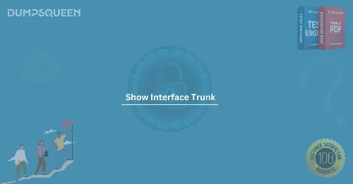 How to Use the show interface trunk Command in Networking
