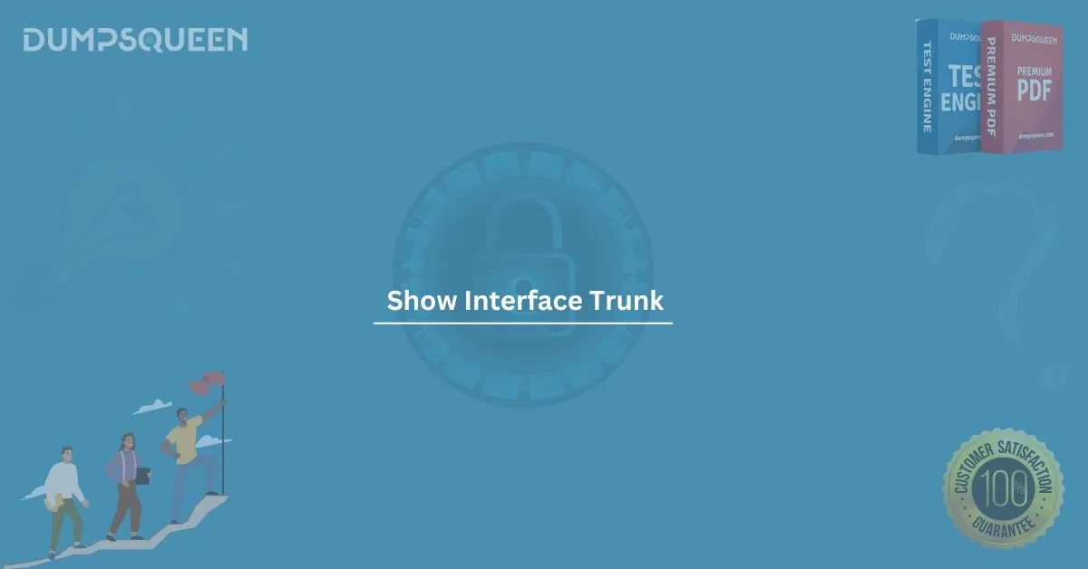 How to Use the show interface trunk Command in Networking