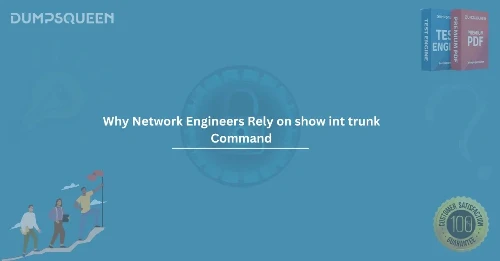 Why Network Engineers Rely on show int trunk Command