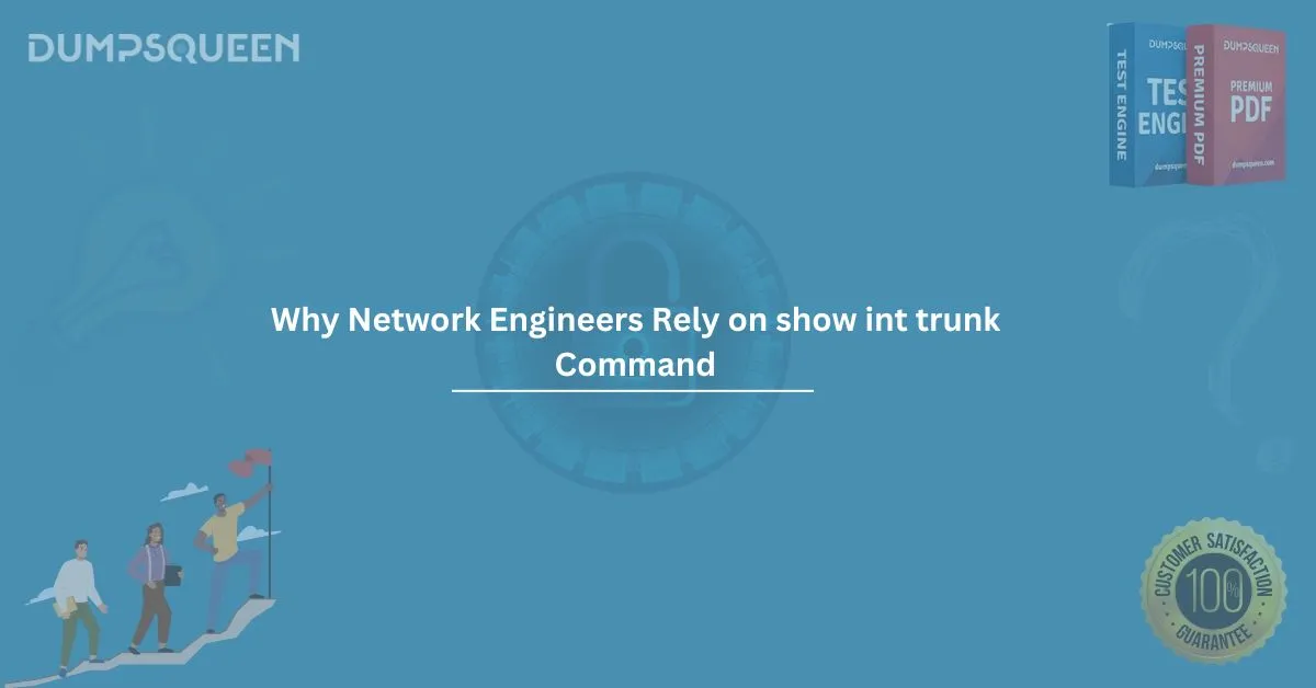 Why Network Engineers Rely on show int trunk Command